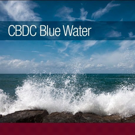 CBDC Blue Water | 5228 Hwy 7 Unit 6, Porters Lake, NS B3E 1J8, Canada | Phone: (902) 827-5564