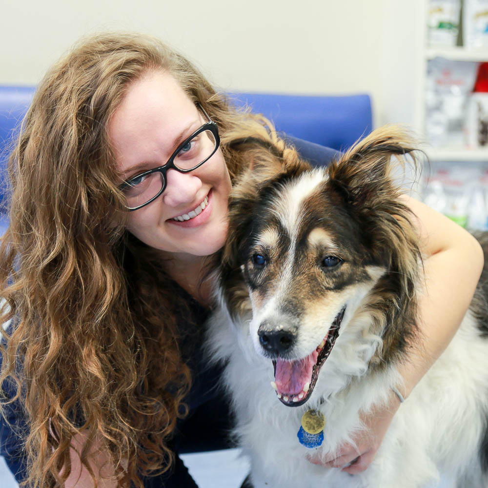 Blue Cross Animal Hospital | 132 Danforth Ave, Toronto, ON M4K 1N1, Canada | Phone: (416) 469-1121