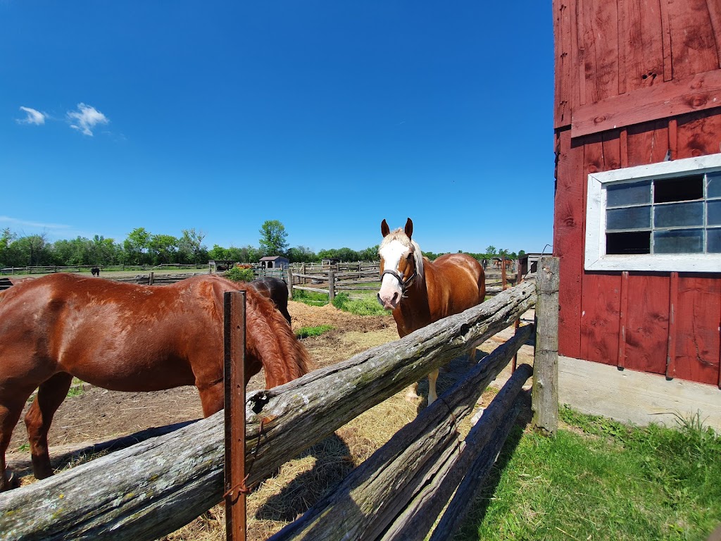 Heritage Stables | 620 Heritage Dr, Merrickville, ON K0G 1N0, Canada | Phone: (613) 229-0759