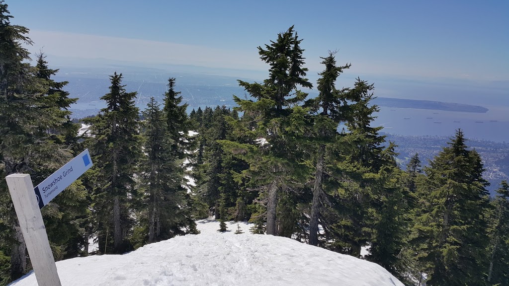 Ridge Trail | Ridge Trail, North Vancouver, BC V7K 1X8, Canada