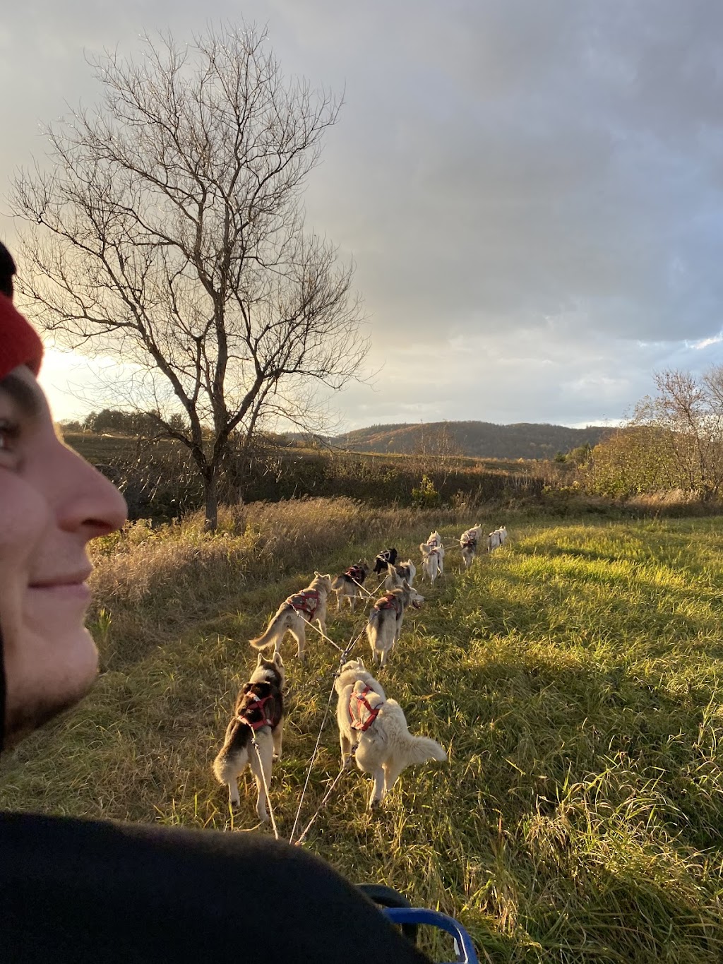 Chiens de traîneau Gatineau Sled Dogs | 10 Mnt Dumouchel, Thurso, QC J0X 3B0, Canada | Phone: (819) 983-2410