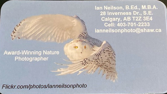 Ianneilsonphoto | 28 Inverness Dr SE, Calgary, AB T2Z 3E4, Canada | Phone: (403) 701-2233