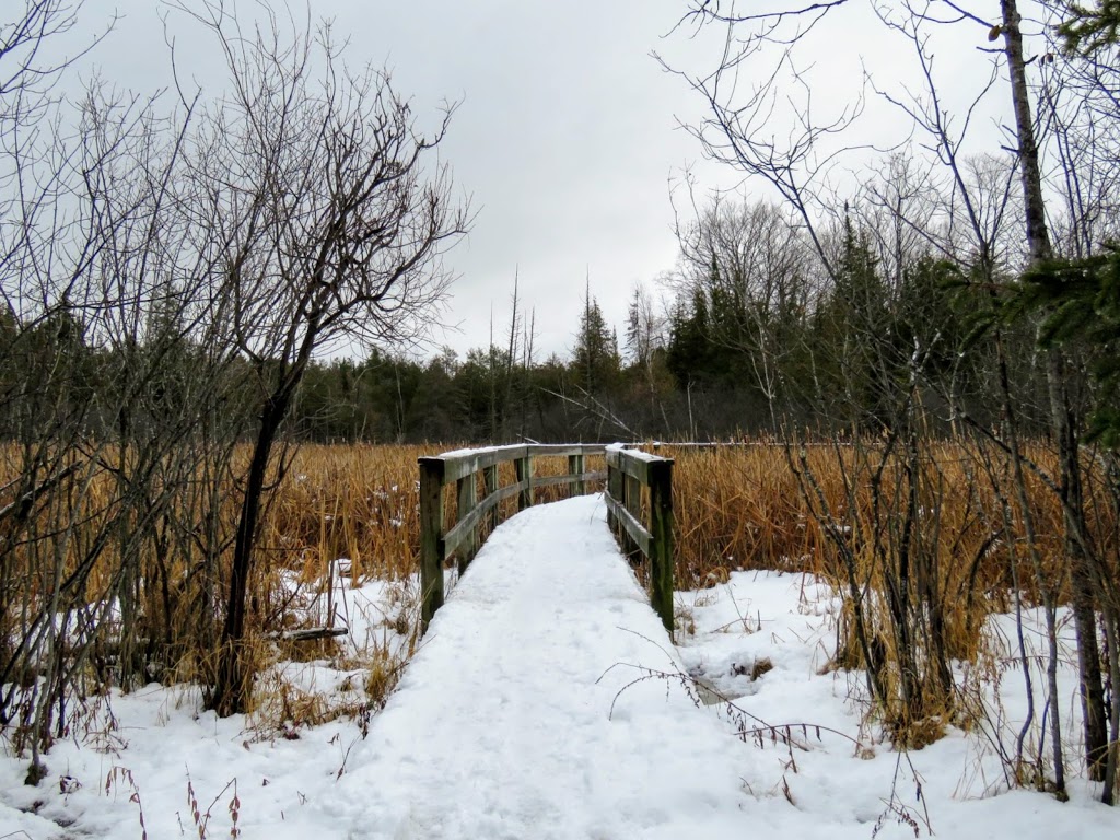 Old Quarry Trail | Eagleson Rd, Kanata, ON K2M 1A9, Canada