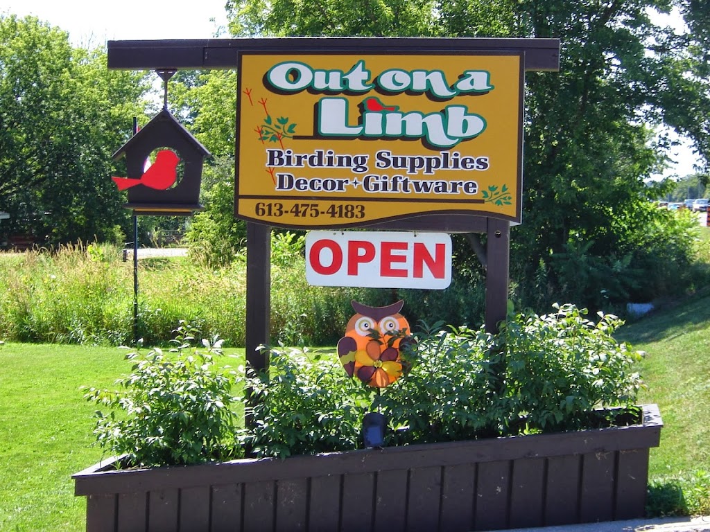 Out on a Limb | 15669 County Rd 2, Brighton, ON K0K 1H0, Canada | Phone: (613) 475-4183