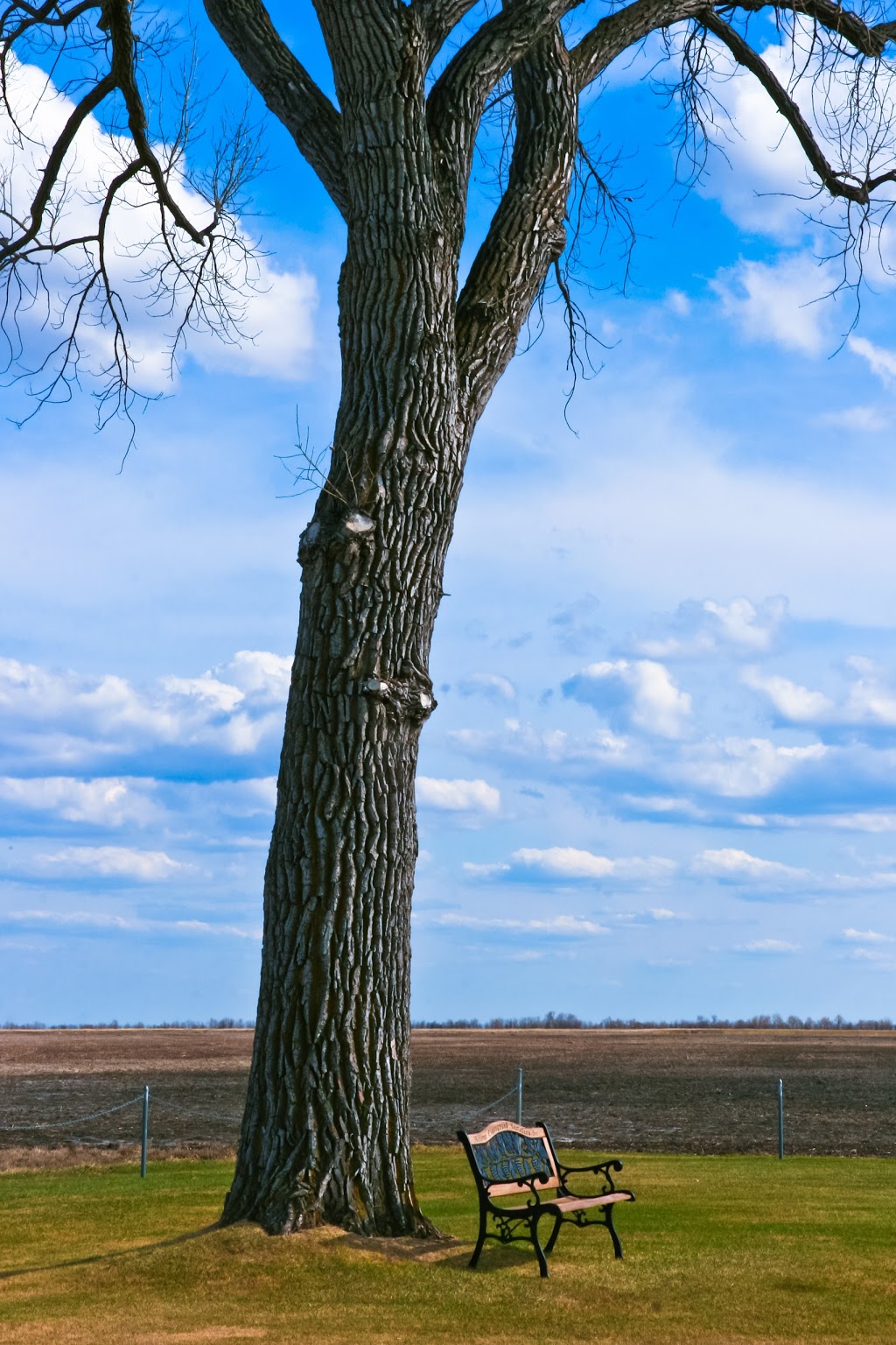 Eigengrund Cemetery | Rhineland, MB R0G 0B0, Canada | Phone: (204) 324-6259