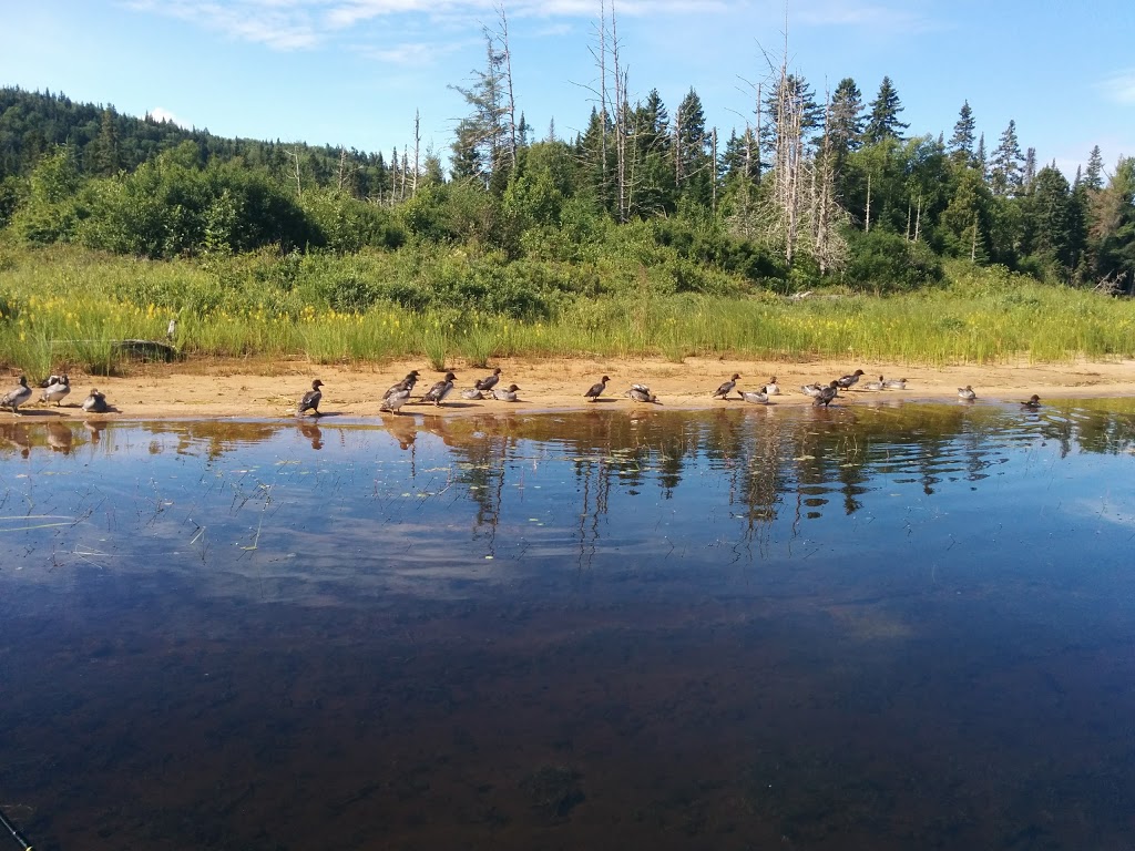 Hébergement Marcotte - Réserve Faunique Mastigouche | Unnamed Road, 1V0, Saint-Alexis-des-Monts, QC J0K 1V0, Canada