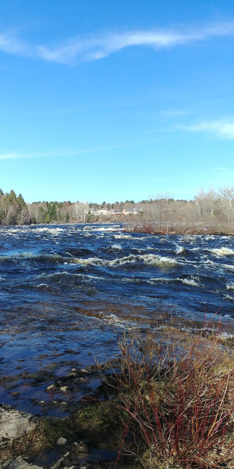 Parc Pont Rouge | 67 Boul Notre Dame #27, Pont-Rouge, QC G3H 3K4, Canada