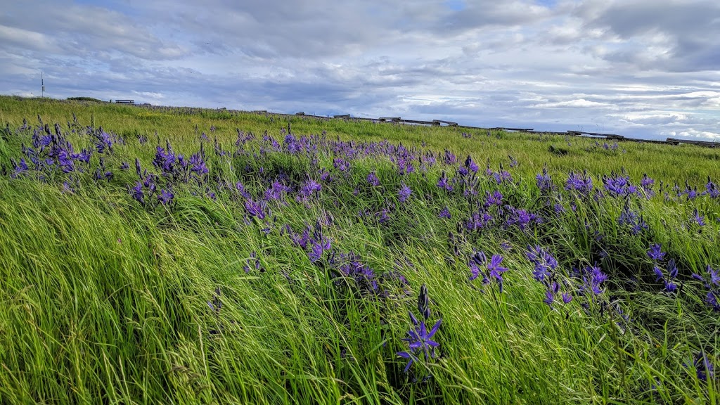 Holland Point Park | James Bay, Victoria, BC V8V, Canada | Phone: (250) 361-0600