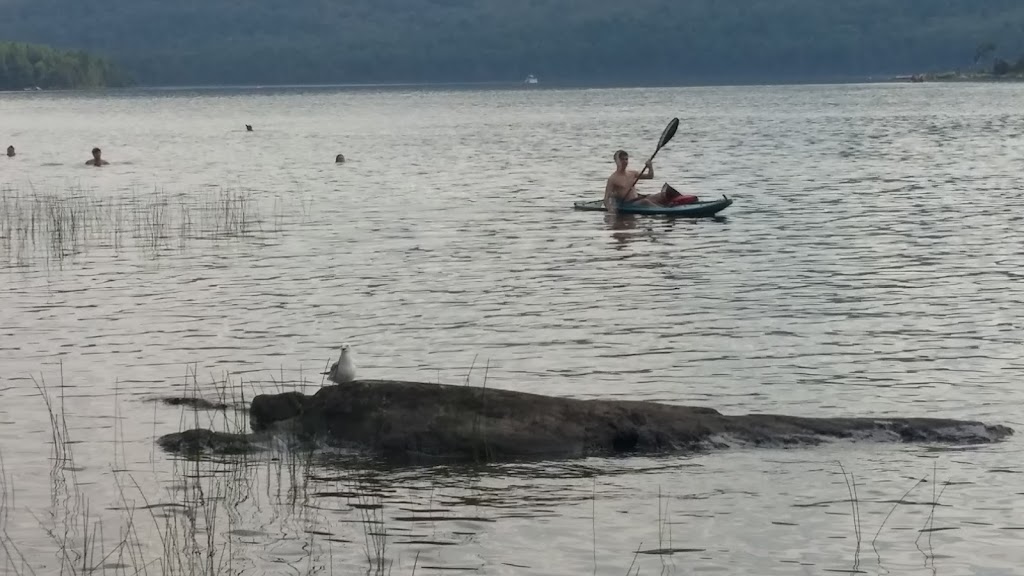 Plage Fraser | Orford, QC J1X 6Y3, Canada