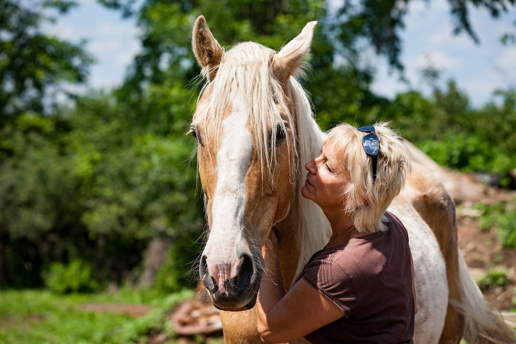 Zootherapy Danièle Monast | 111 Chem. de la Baie Quesnel, Rigaud, QC J0P 1P0, Canada | Phone: (450) 451-4210