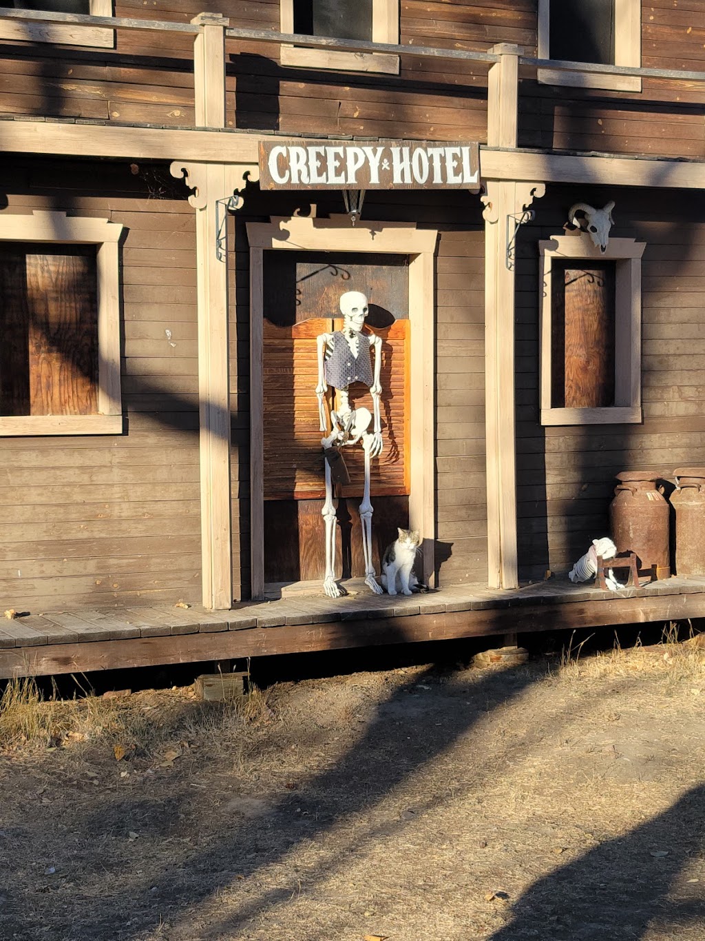 Creepy Hollow | 44046 AB-4, Warner, AB T0K 2L0, Canada | Phone: (403) 331-9335