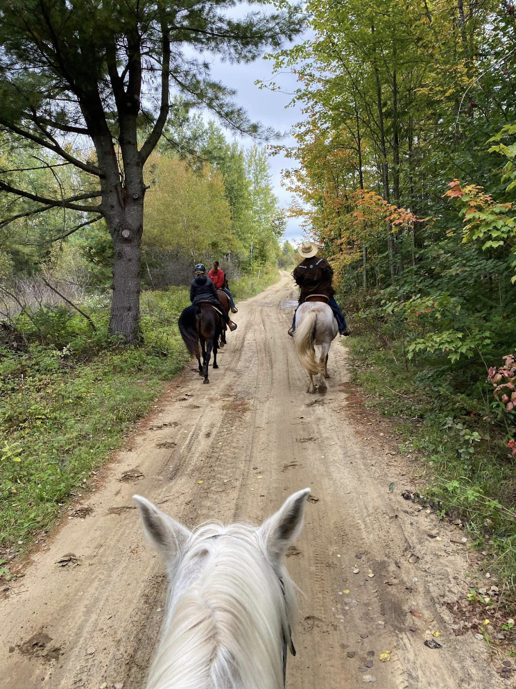 Ferme Stay | 1551 Rang St Louis, Notre-Dame-du-Mont-Carmel, QC G0X 3J0, Canada | Phone: (819) 852-8961