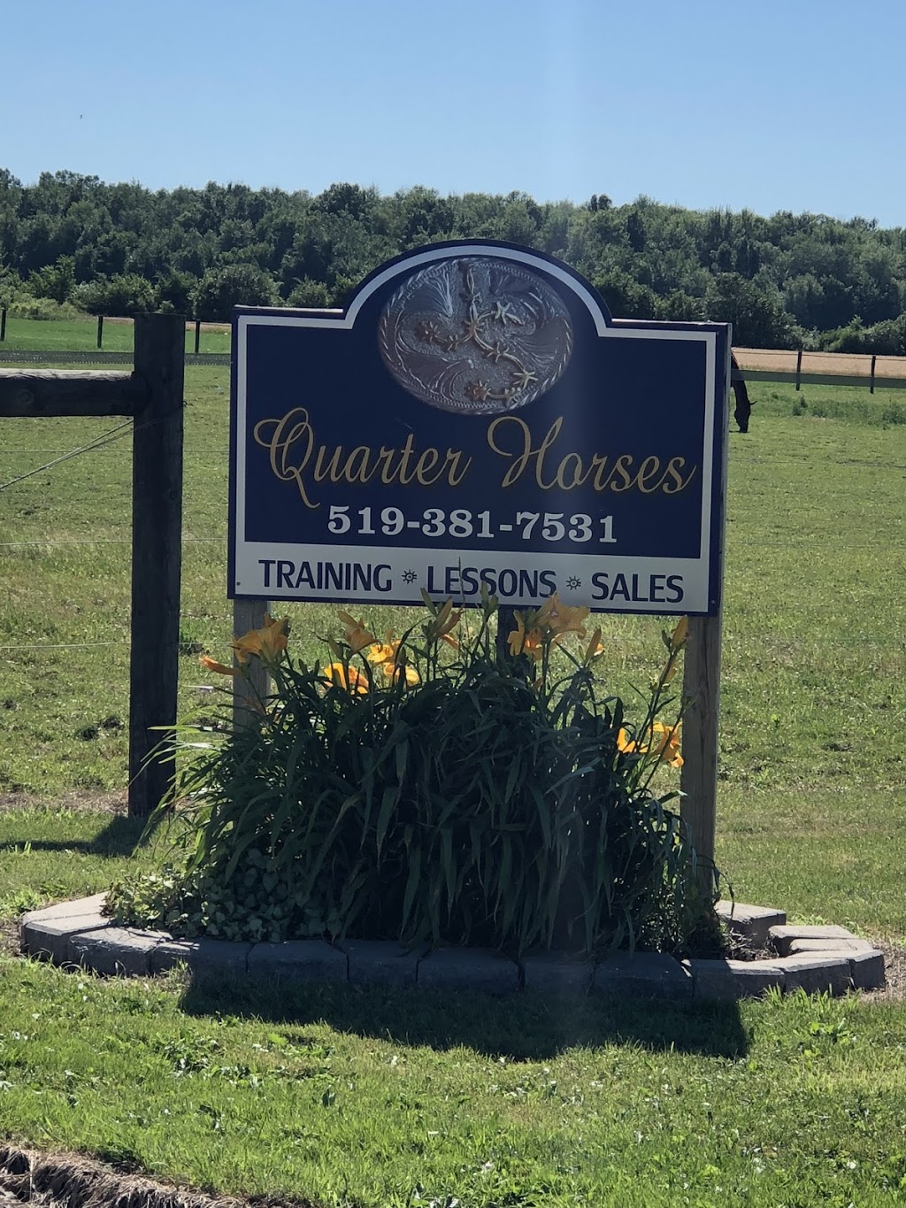 JS Quarter Horses | 22859 Old Airport Rd, Glencoe, ON N0L 1M0, Canada | Phone: (519) 381-7531