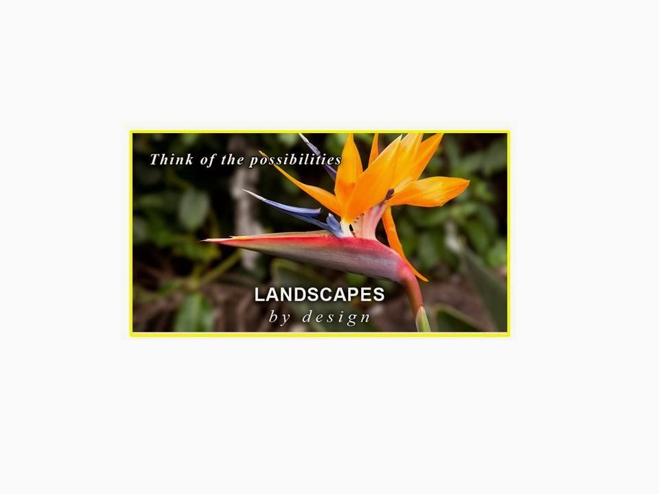 Rick Hutchings Landscapes by Design | 1863 Bayview Ave, East York, ON M4G 3E4, Canada | Phone: (416) 200-0529