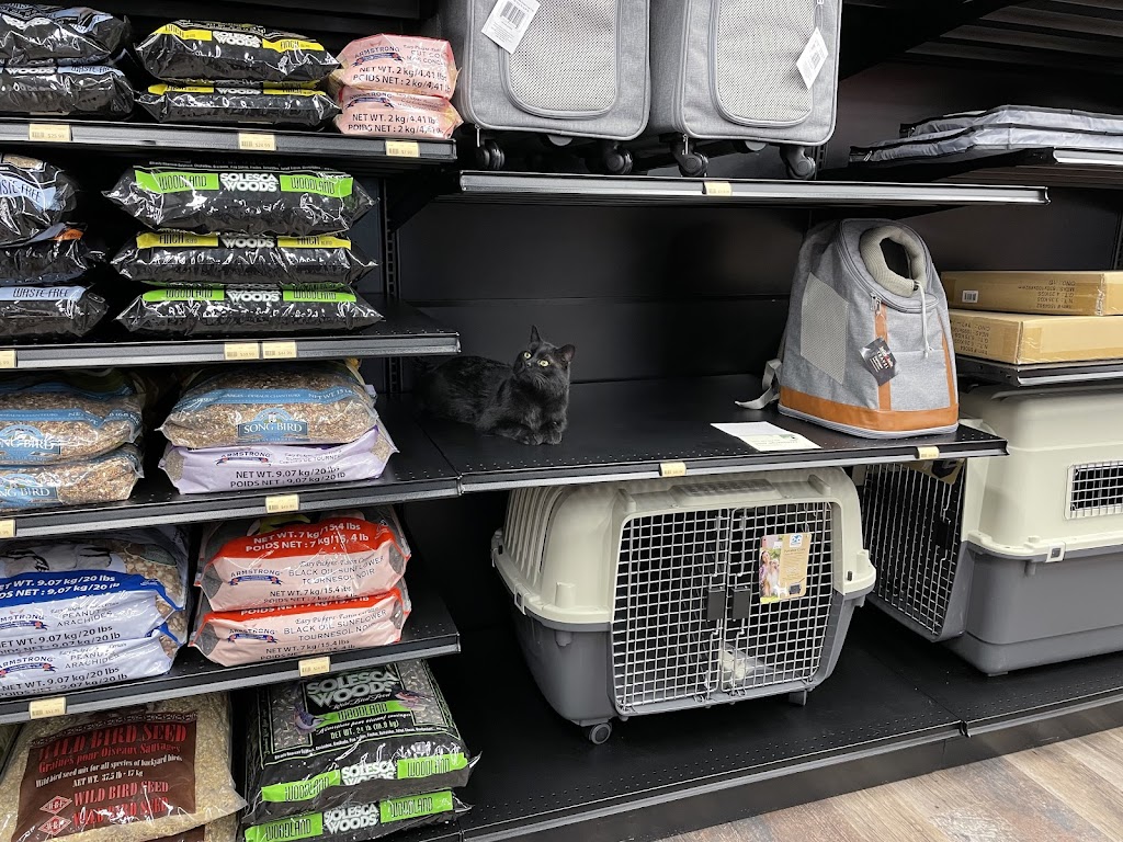 Pet Valu | 900 Shantz Drive, Didsbury, AB T0M 0W0, Canada | Phone: (403) 559-3031