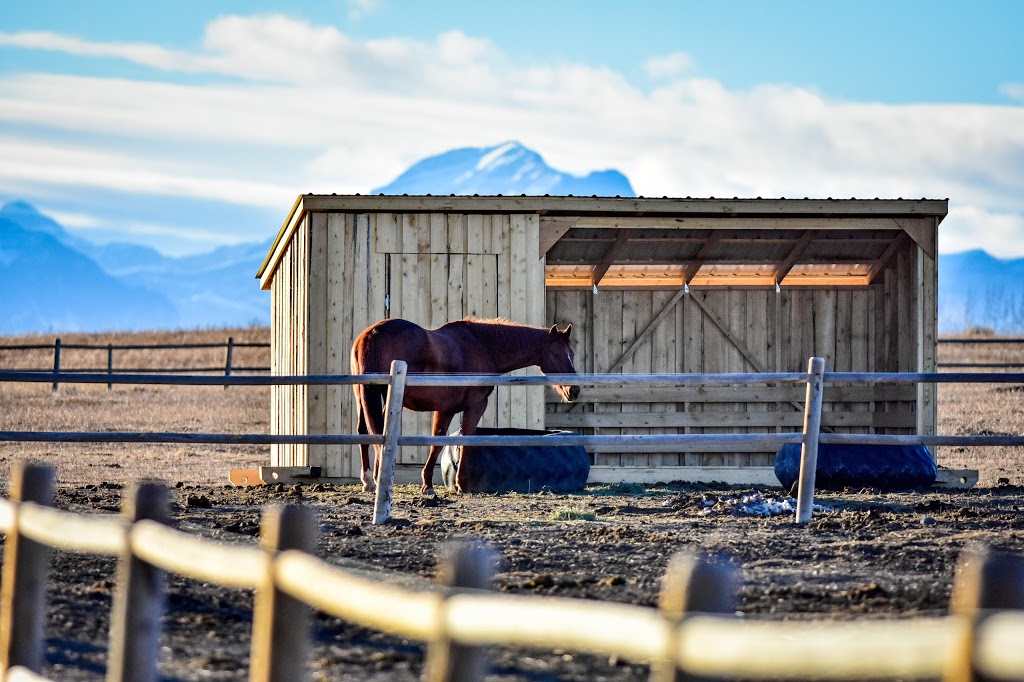 Wildcat Shelters | Rocky View No. 44, AB T0L, Canada | Phone: (403) 921-7630