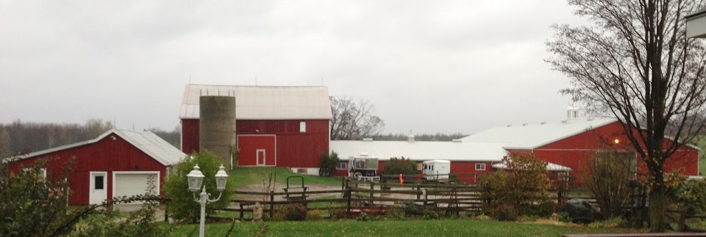 Rolling Hills Farm | 122021, Side Rd 12, Owen Sound, ON N4K 5N5, Canada | Phone: (226) 668-2286