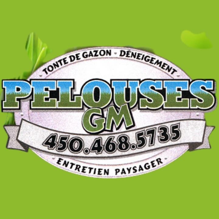 Pelouses G M (Les) | 367 Rue Prévost, Longueuil, QC J4J 1H4, Canada | Phone: (450) 468-5735