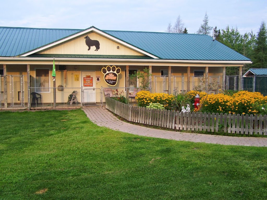 4 Paws Pet Resort Inc | 82 Zack Rd, Berry Mills, NB E1G 2T8, Canada | Phone: (506) 855-7297