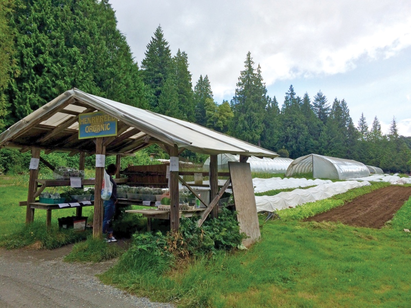Henry Reed Organic Produce | 802 Henry Rd, Gibsons, BC V0N 1V2, Canada | Phone: (604) 886-7979