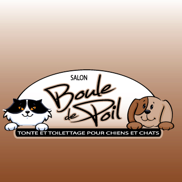 Salon Boule De Poil | 21 Rue du Moulin-Ruel, Levis, QC G6V 3E2, Canada | Phone: (418) 837-4227