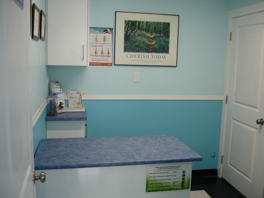 Vic West Pet Hospital | 526 Esquimalt Rd, Victoria, BC V9A 3L4, Canada | Phone: (778) 265-4500