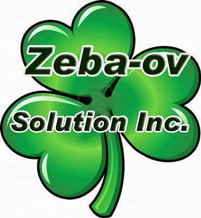 Zeba-ov Solutions | 219 Kingswood Dr #17, Kitchener, ON N2E 3J4, Canada | Phone: (519) 807-9669