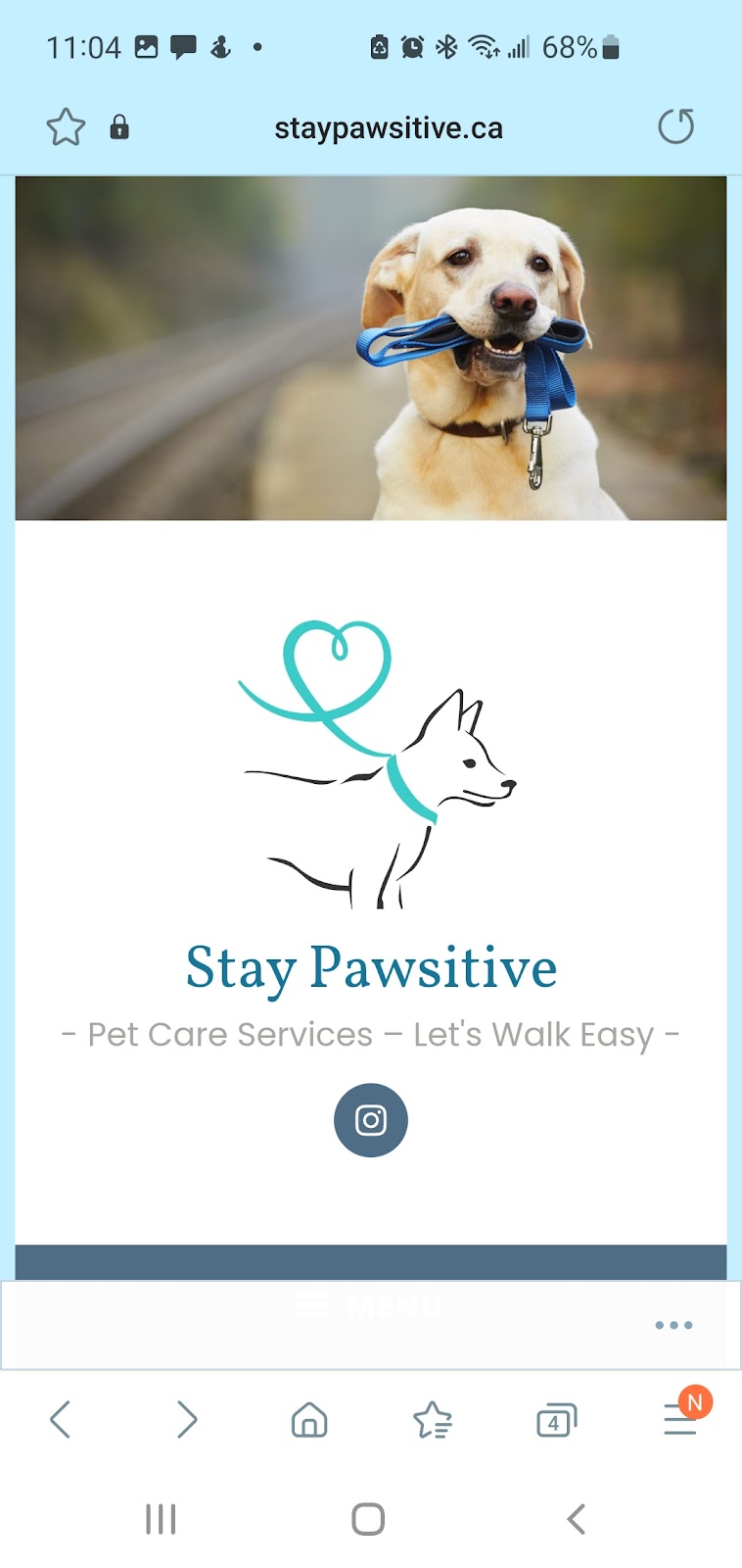 Stay Pawsitive Pet Services | 2460 Kelly Ave, Port Coquitlam, BC V3C 0E3, Canada | Phone: (778) 987-1366