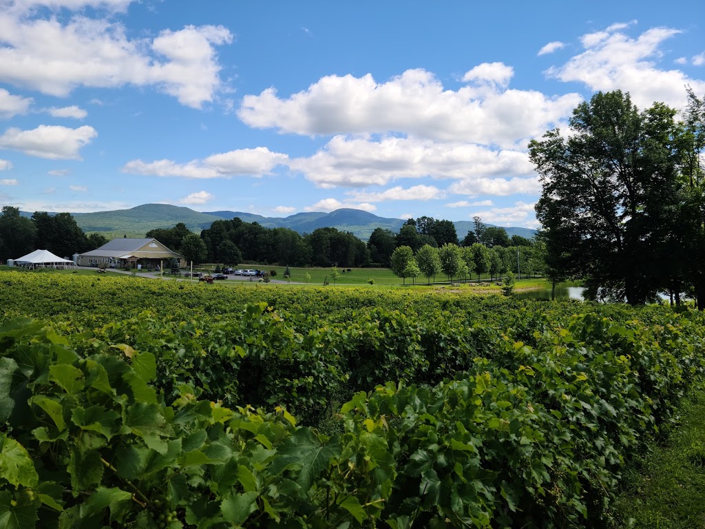 Vignoble Domaine Bresee | 303 Chemin Draper, Hill, Sutton, QC J0E 2K0, Canada | Phone: (450) 538-3303