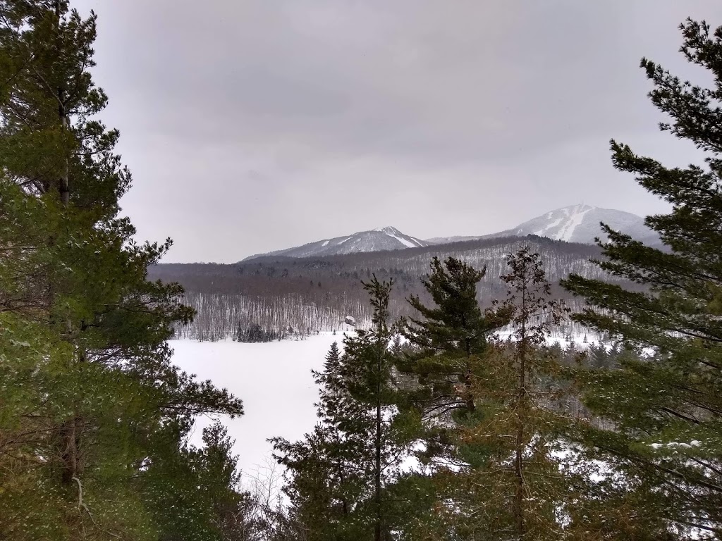 Secteur du Lac-Stukely - Parc National du Mont-Orford | 200 Chemin du Camping, Orford, QC J1X 7A2, Canada | Phone: (819) 843-9855