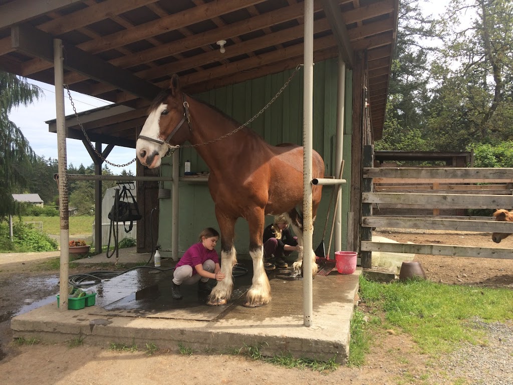 Echo Ridge Stables | 5938 W Saanich Rd, Victoria, BC V9E 2G4, Canada | Phone: (250) 857-6710