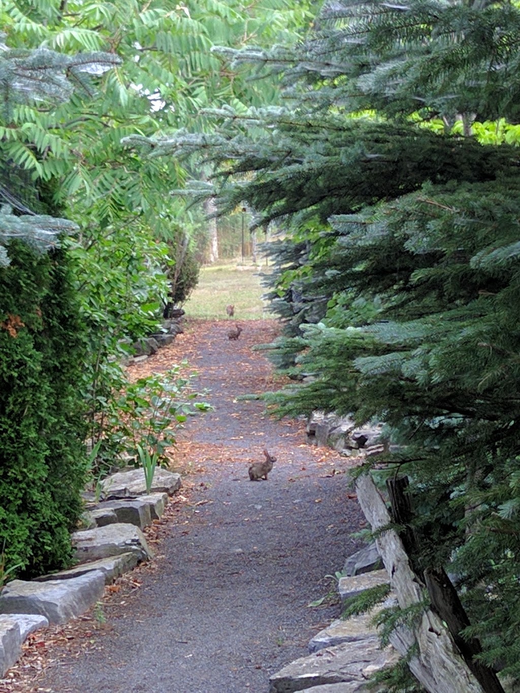 Barriefield Rock Garden | Kingston, ON K7K, Canada