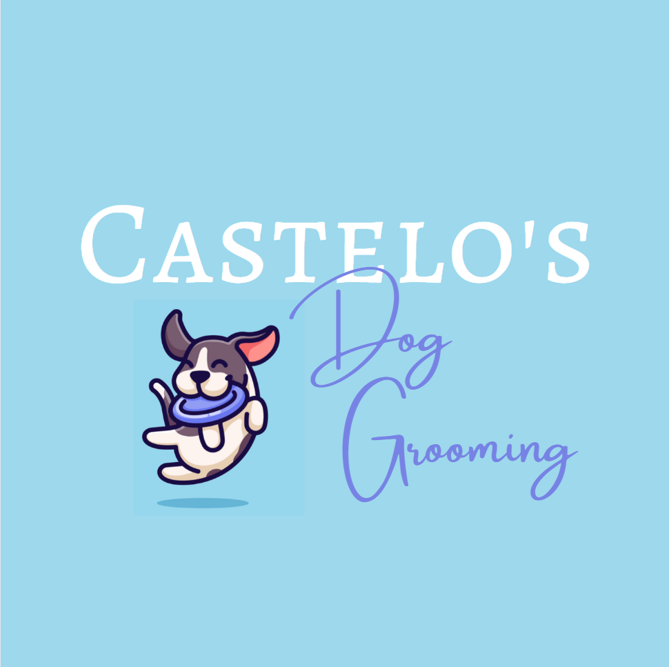 Castelos Dog Grooming | 23 Wheatgrass Ln, Winnipeg, MB R0G 2W0, Canada | Phone: (204) 599-9043