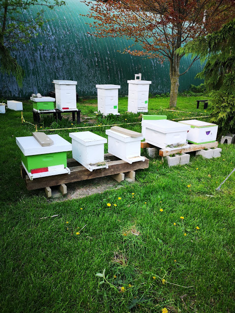 Earth + Honeybee | 22342 Clarke Rd, Ilderton, ON N0M 2A0, Canada | Phone: (519) 494-8070