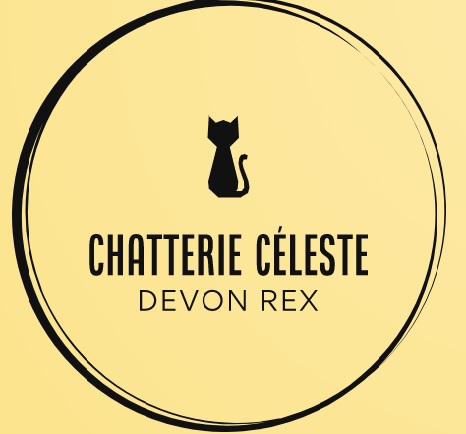 Chatterie Céleste Devon Rex | 1515 Rue Pierre Corneille, Québec, QC G2E 4H9, Canada | Phone: (418) 271-7229