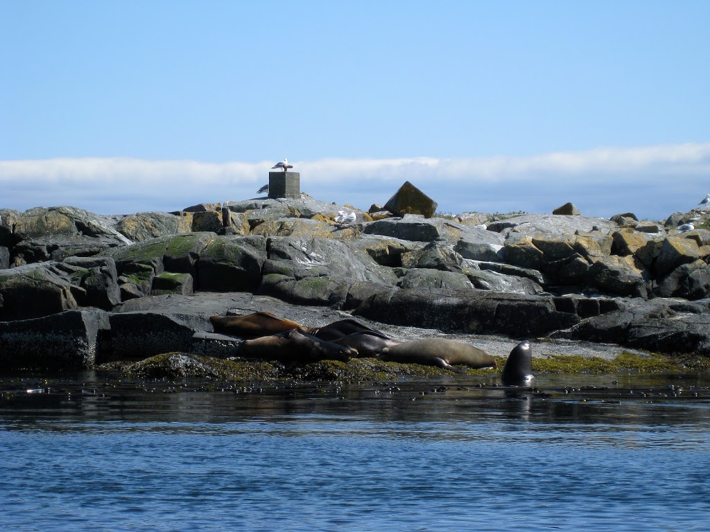 Trial Islands Ecological Reserve | Oak Bay, BC V8S, Canada