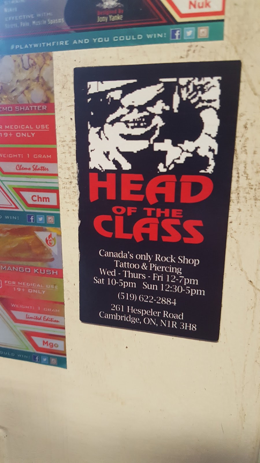 Head Of The Class Rock Shop | 261 Hespeler Rd, Cambridge, ON N1R 3H8, Canada | Phone: (519) 622-2884