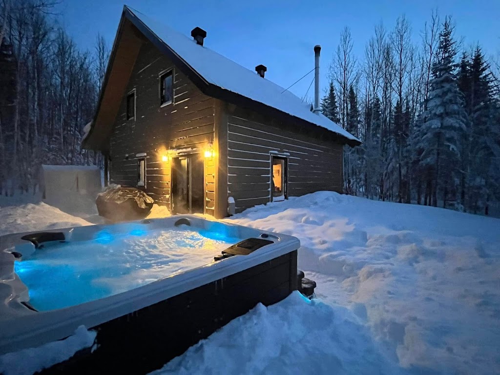 Repaire des bouleaux - Chalet | 31 Chem. des Bouleaux, Petite-Rivière-Saint-François, QC G0A 4J0, Canada | Phone: (581) 983-2634