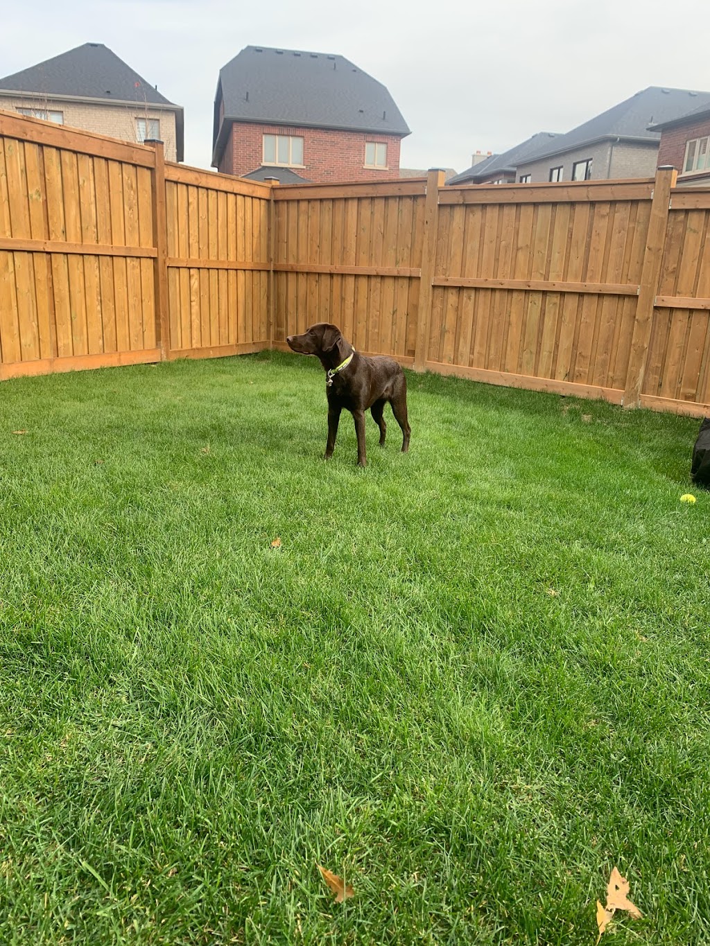 Sturdy Decking and Fencing | 101 Tall Grass Trail, Woodbridge, ON L4L 3J3, Canada | Phone: (416) 902-1677