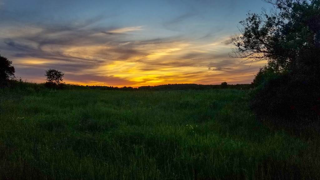 French Creek Wildlife Management Area | Clayton, NY 13624, USA