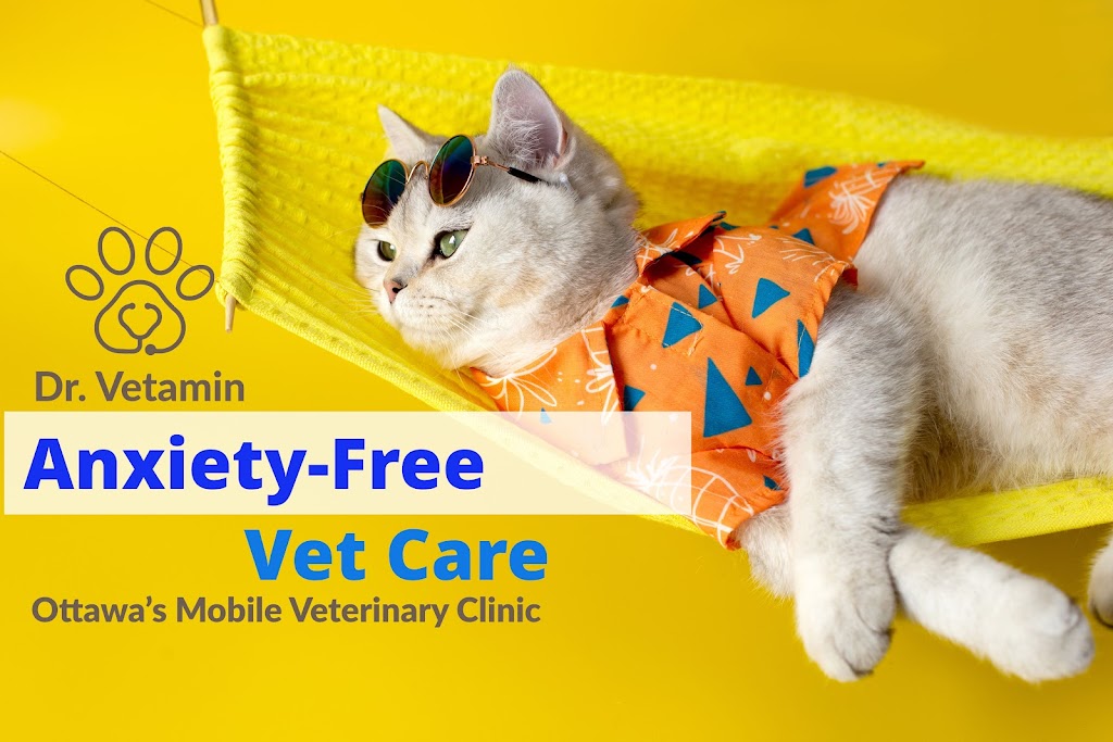 Dr. Vetamin - Ottawa Mobile Veterinary Services | 23 Finglas Ct, Ottawa, ON K2J 6Y6, Canada | Phone: (343) 998-9452