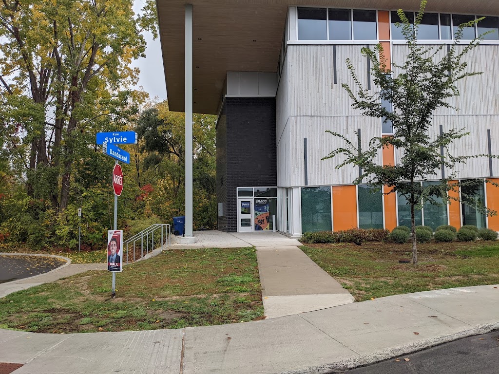 Maison Des Jeunes Ste-Dorothée | 625 Rue Sylvie, Laval, QC H7X 2X2, Canada | Phone: (450) 689-8000