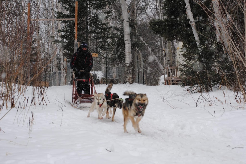 La ferme à minuit | 603 Rang 7e, Sainte-Monique, QC G0W 2T0, Canada | Phone: (418) 347-3152