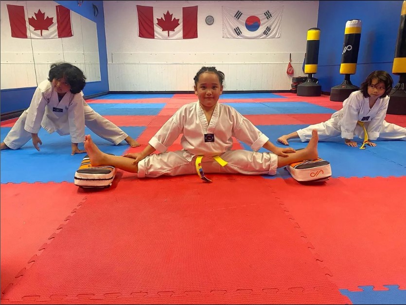 Alpha Martial Arts World | 110 Little Ave, Barrie, ON L4N 4K8, Canada | Phone: (416) 474-3840