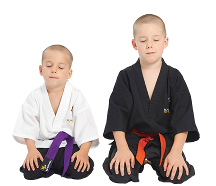 Karate Sports Repentigny | 1227 Rue Notre-Dame, Repentigny, QC J5Y 3H2, Canada | Phone: (514) 629-3474