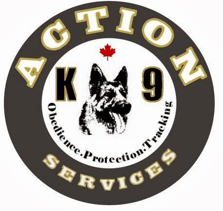 Action K9 Services - Dog Training | 25700 116 Ave, Maple Ridge, BC V4R 1Z6, Canada | Phone: (604) 722-3079