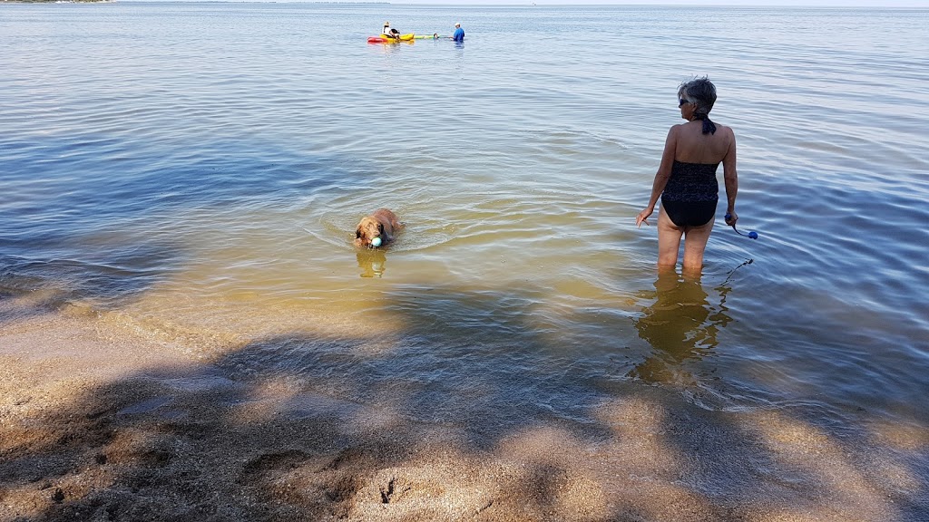 Winnipeg Beach Dog Beach | Winnipeg Beach, MB, Canada