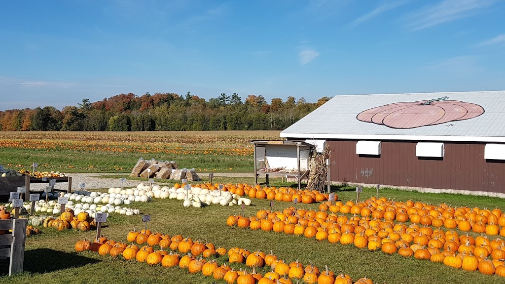 Good Family Pumpkins | 909 Bridge St E, Waterloo, ON N2J 4G8, Canada | Phone: (519) 635-6653