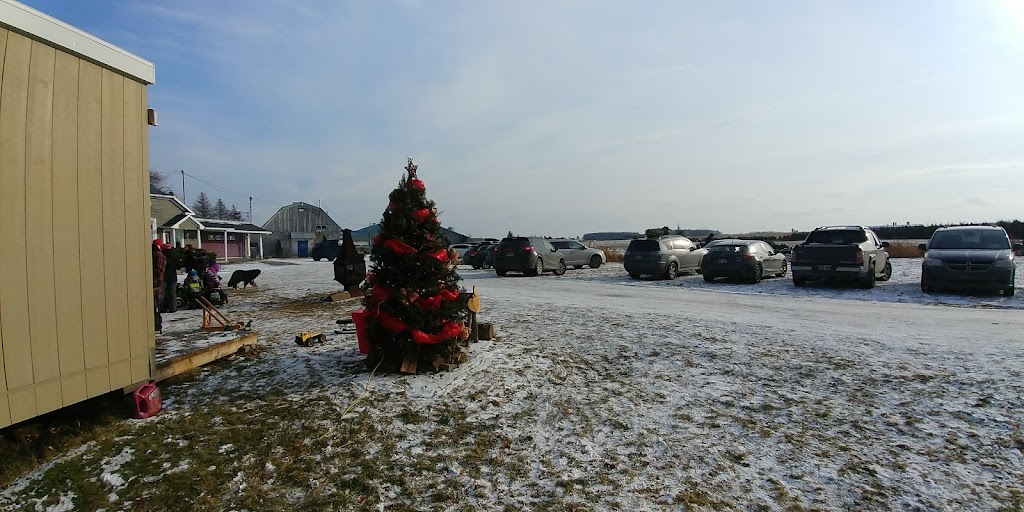 Coupez Votre Sapin S.E.N.C | 108 Rang Saint-Pierre, Saint-Isidore, QC G0S 2S0, Canada | Phone: (418) 204-9253