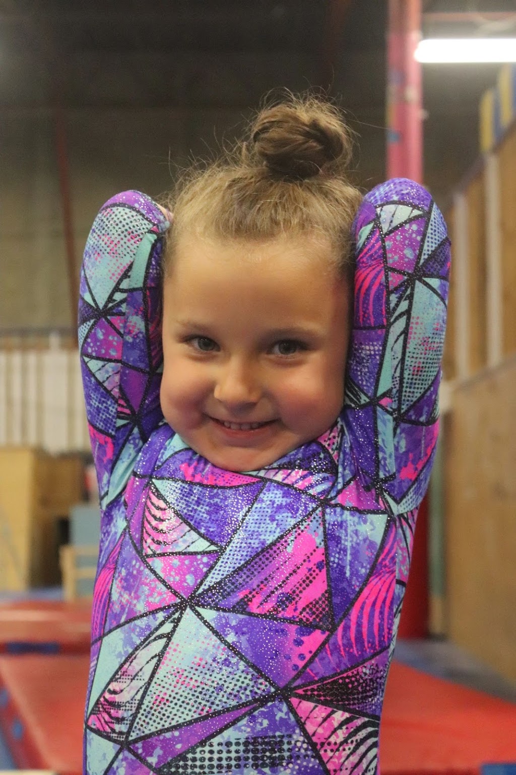 Dreams Gymnastics Academy | 9527 49 St NW, Edmonton, AB T6B 2L8, Canada | Phone: (780) 440-0014